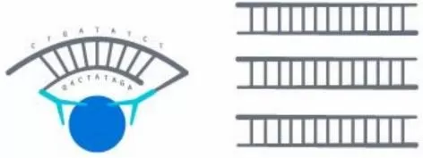 The Proximity Extension Assay